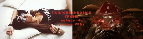 эйфоретик Алексин