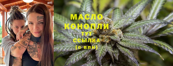 соль ск Алзамай
