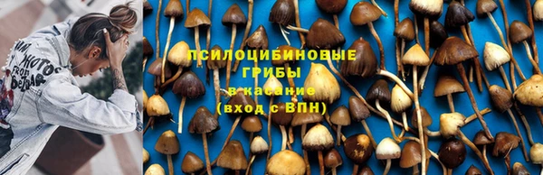 гашиш Алексеевка