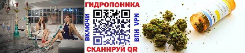 Шишки марихуана MAZAR  Купить закладки  Воскресенск 